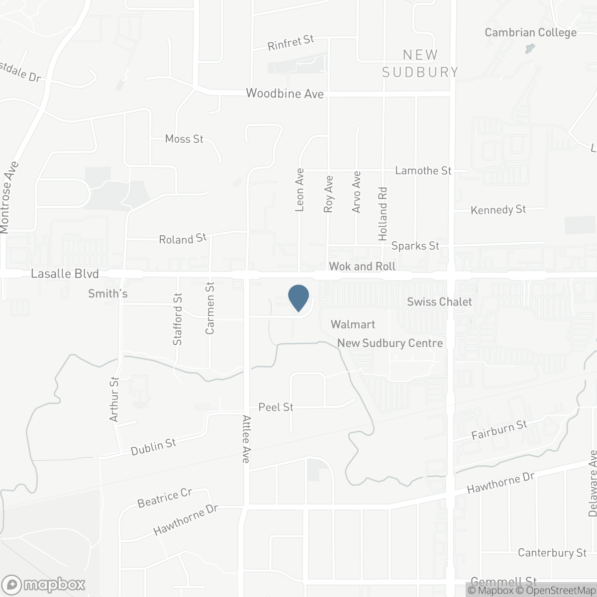 1105 Belfry Avenue Unit# 207, Greater Sudbury, Ontario P3A 3M4